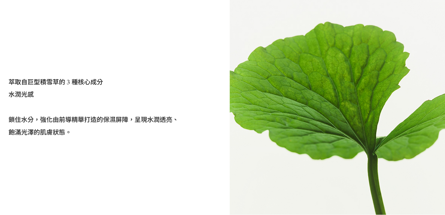 ICD活妍專業修護套裝